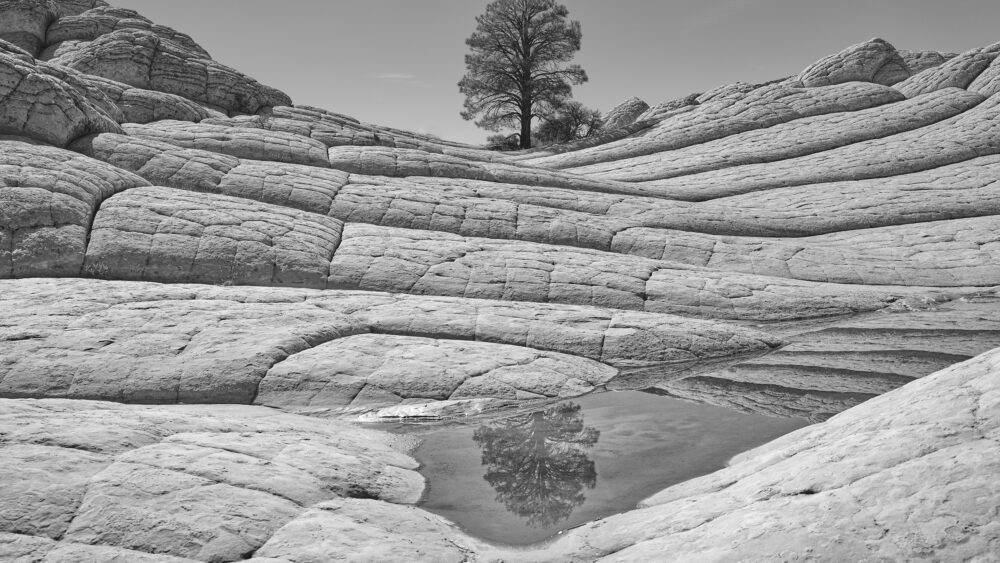 Enduring Silence – White Pocket fine art photography