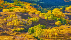 Colorado Landscape Photography