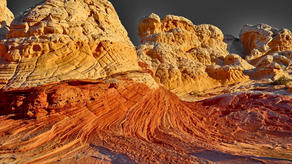 The first warm sunrise light reveals the full topographic detail of the golden and cream Navajo sandstone terraces at White Pocket, Vermilion Cliffs National Monument, Arizona. Fine art landscape photograph. Fujifilm GFX medium format.