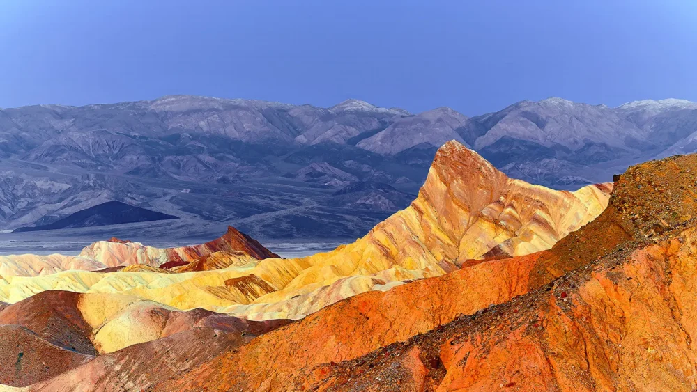 Golden and rust-coloured eroded badlands at Zabriskie Point, Death Valley National Park, at morning light. Three-frame Hasselblad panoramic photograph.