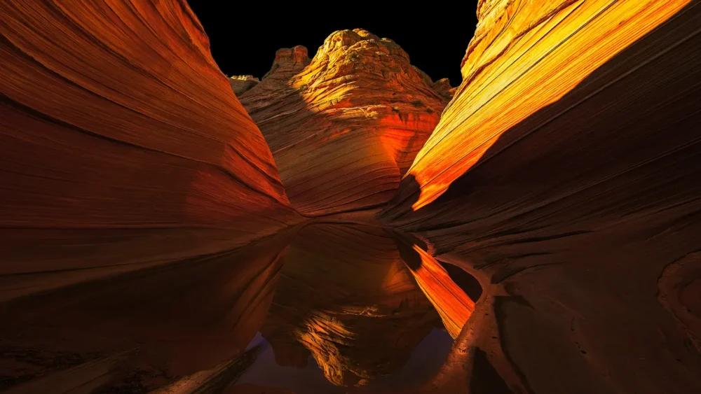 The swirling cross-bedded sandstone of the Wave at Coyote Buttes North ignites in warm afternoon light with a rare ephemeral water reflection doubling the composition below. Vermilion Cliffs National Monument, Arizona. Fine art landscape photograph. Fujifilm GFX medium format.