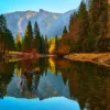 Yosemite Valley in autumn conditions — cottonwoods and dogwoods in peak fall color reflected in the still Merced River with granite cliffs and vivid blue sky above. Yosemite National Park, California. Fine art landscape photograph. Nikon D810