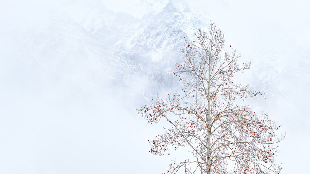 "Whispers of Winter Light"-Minimalist winter landscape photography,